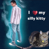 Cat GIF