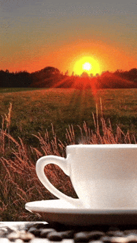 Good Morning Coffee Lover GIF by Berk's Beans Coffee