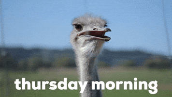 Thursday Morning