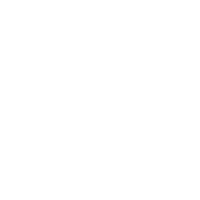 Face Sticker