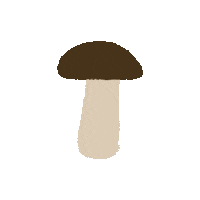 Mushroom Sticker