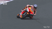 Sport Wow GIF by MotoGP