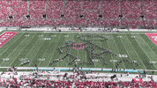 Ohio State Buckeyes GIF by tbdbitl