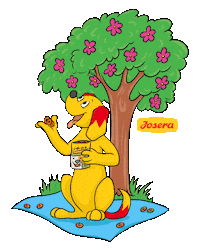 Happy Flower Sticker by Josera Ukraine