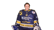 Zellamsee Ekz Sticker by EK Zeller Eisbären