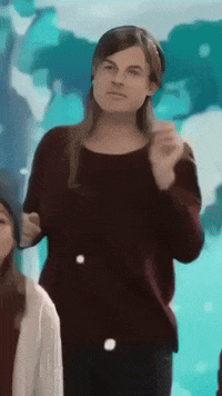 Noel Macron GIF by systaime