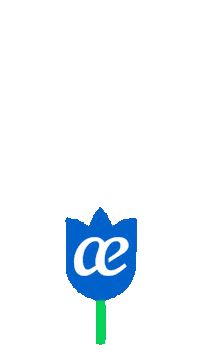 Travel Viajar Sticker by Air Europa