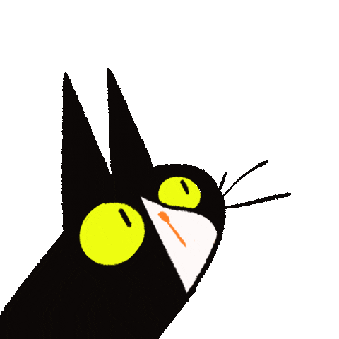 levraicolonelmoutarde giphyupload cat blackcat cmoutarde Sticker