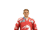 Hockey Stick Celebration Sticker by HC Oceláři Třinec