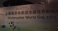 'Underwater World Cup' Held in Shanghai Aquarium