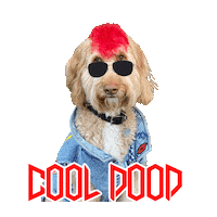 Doodle Goldendoodle Sticker by Pimp Yo Pets