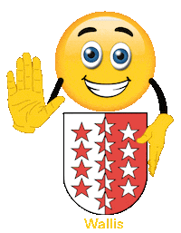 Sign Language Hand Sticker