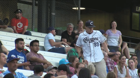 minor league baseball dancing GIF by Kane County Cougars