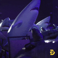 Joshgates GIF by Shark Week