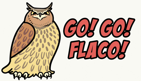 Eagle Owl Bird GIF