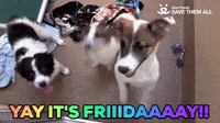 Yay It's Friday!