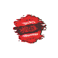 Chef Churrasco Sticker by Fogo 36