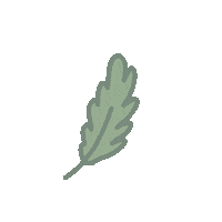Plant Sticker by odsanyu