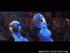 wings rio GIF