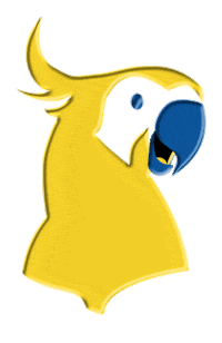 Cacatoes Sticker by Cacatoès do brasil