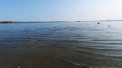 vt vermont GIF