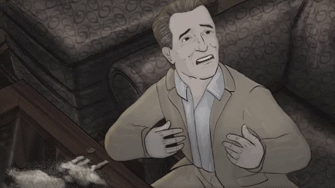 season 1 cats GIF by Animals