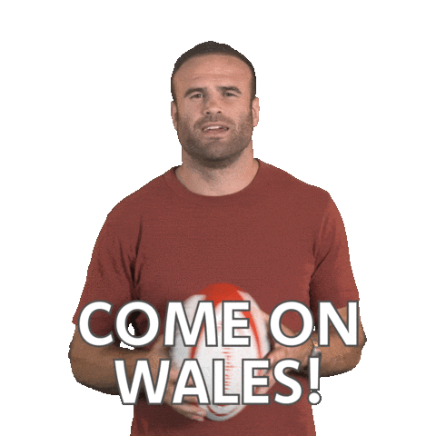 Jamie Roberts Reaction Sticker by PrincipalityBS