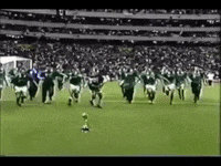 copa del mundo rusia 2018 GIF by MiSelecciónMX