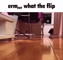 Cute Cat GIF