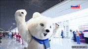 molestar GIF
