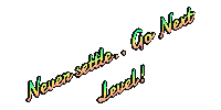 NextLevelPaintingLLC never settle go next level Sticker