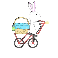 Moonpilli kawaii bunny rabbit bicycle Sticker