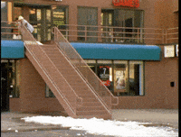 GIF by Forum Snow