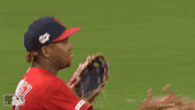 major league baseball sport GIF by MLB
