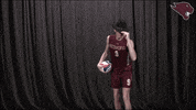 Mvb GIF by CUCougars