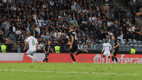 Scp GIF by Sporting CP