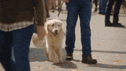 HallmarkChannel love friendship hallmark hallmark channel GIF