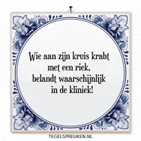 Nl Spreuk GIF by Tegelspreuken.nl