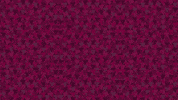 choosesds sds GIF