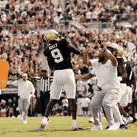 College Football Gkco GIF by UCF Knights