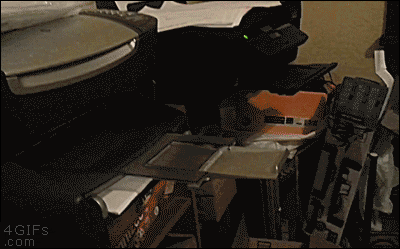 home office GIF
