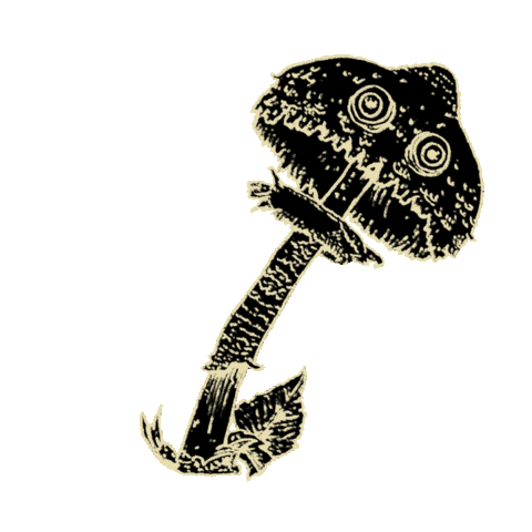 Art Halloween Sticker by ARIES