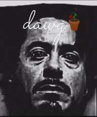 Valveasf wtf black tony stark ts GIF