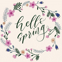 CalligraphyandtheCity hello pink flowers spring GIF