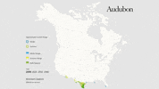 bronzed cowbird GIF by audubon
