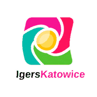 Katowice Sticker by igerspoland