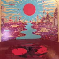 GIF by Sub Pop Records