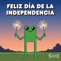 Independence Day Fireworks GIF by fwogs