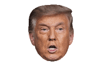 United States Trump Sticker by Marcel Katz / The Art Plug