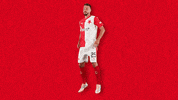 Football Soccer GIF by SK Slavia Praha